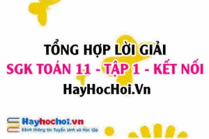 Giải Bài tập Toán 11 tập 1 SGK Kết nối tri thức